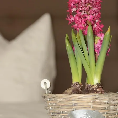 Kleine Träumerei Gasthof